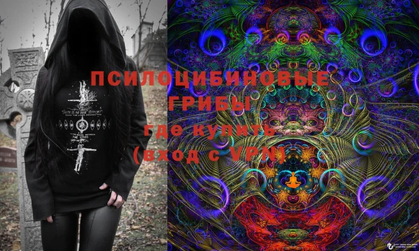 ешки Аркадак